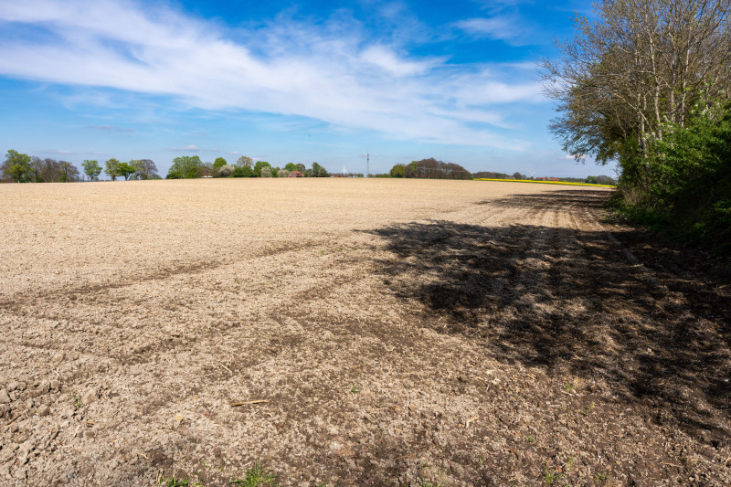 Journée ensoleillée sur un champ labouré rural avec un ciel bleu clair et des arbres environnants.
