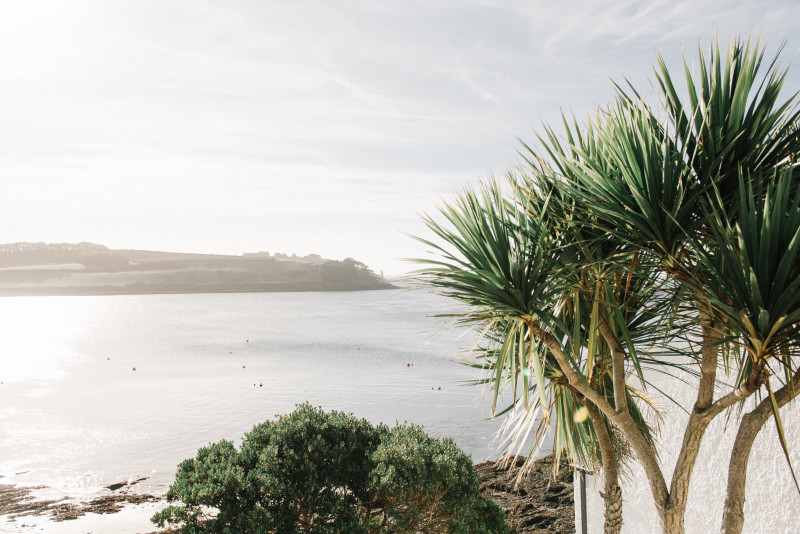 Gros plan de plantes tropicales avec la belle mer