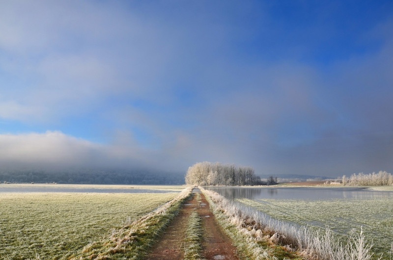 givre, chemin, arbre, hiver, froid, nature, congelés, paysage, météo, ciel, nuages, frost, path, tree, winter, cold, frozen, landscape, weather, sky, clouds