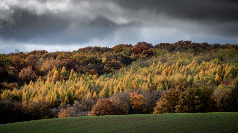 Plan large de collines boisées avec un ciel nuageux en arrière-plan