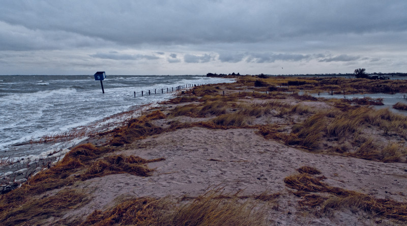 Rive couverte d'herbe entourée par la mer sous un ciel nuageux