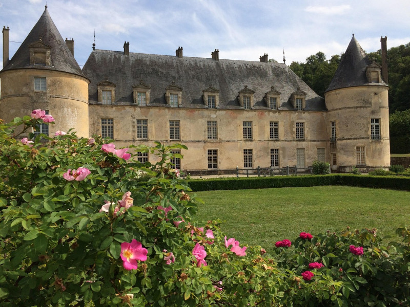 château, parc, hirondelles, france, bourgogne-franche-comté, bussy-le-grand