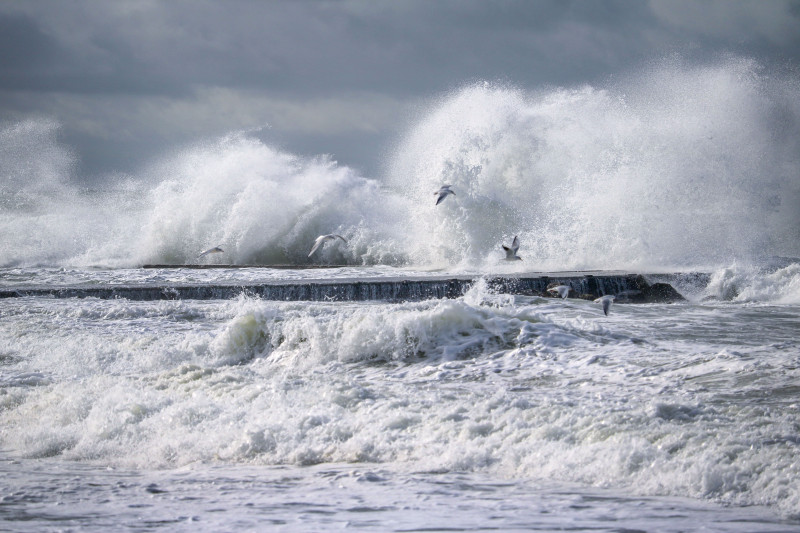 De puissantes vagues océaniques s'écrasent sur des oiseaux de mer planant à Saint-Pair-sur-Mer, en France.