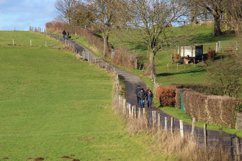marcher, ensoleillement, gens, paysage, chemin, chemin de terre, relaxation, marche du dimanche, dimanche, week end, temps libre, vacances, la nature, des loisirs, relever