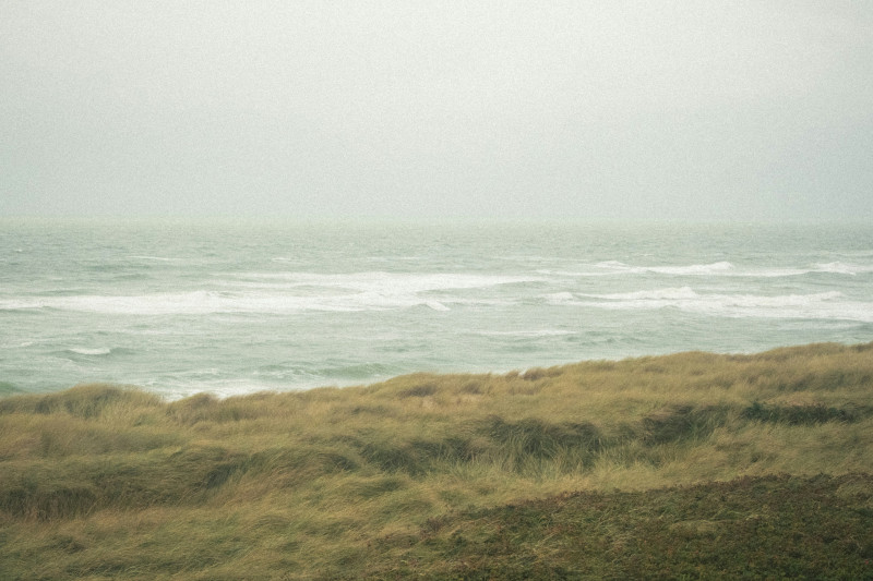 Grassy dunes overlooking a misty ocean with rolling waves under a grey sky