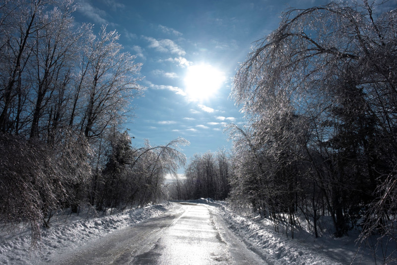 Une scène hivernale captivante avec des arbres glacés et un soleil éclatant au Québec, Canada.