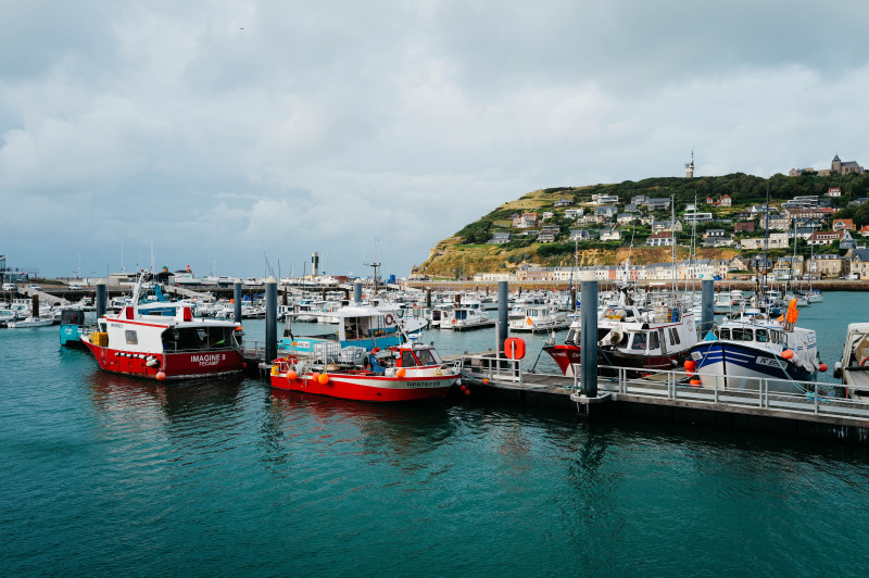 Des bateaux colorés amarrés dans un port serein avec des collines et des bâtiments en arrière-plan, sous un ciel nuageux.