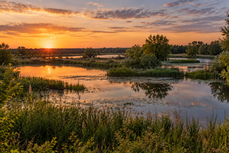 Surnommée “le pays des mille étangs”, cette région française est un paradis caché pour les amoureux de nature