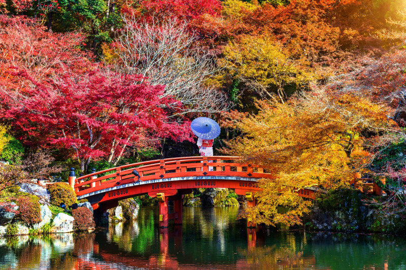Kyoto, Japon – Forêt rougeoyante entre temples et bambous