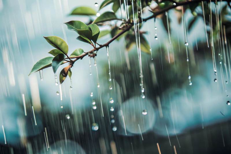 Bourgogne-Franche-Comté : retour de la pluie ces prochains jours, quelles zones concernées ?